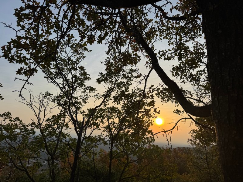 Sun Rise